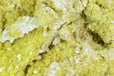 Sulfur Crystal Cluster on Matrix - Nevada #129753-1